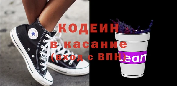 шишки Билибино