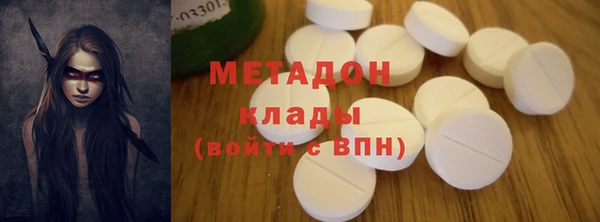 индика Гатчина