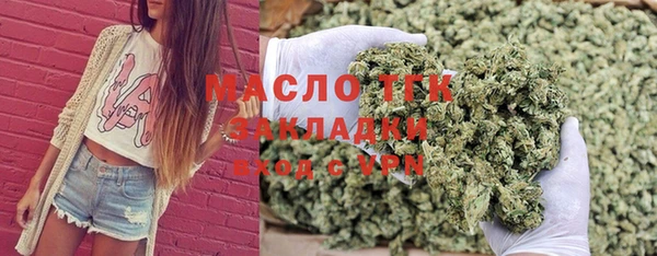 индика Гатчина