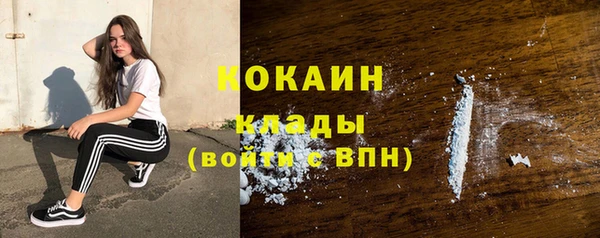 PSILOCYBIN Галич