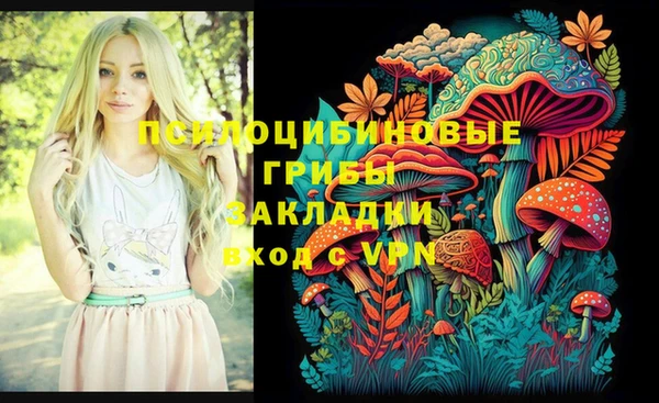СК Приозерск
