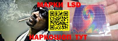 спайс Гатчина