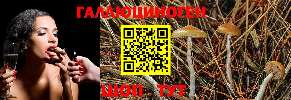 Псилоцибиновые грибы MAGIC MUSHROOMS  наркота  Великие Луки 