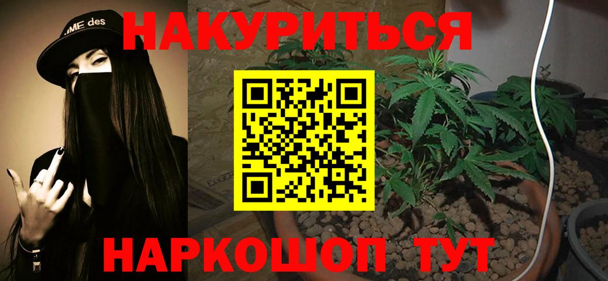 Бошки марихуана план  Бошки марихуана SATIVA & INDICA  Конопля VHQ  Канабис марихуана  Великие Луки 
